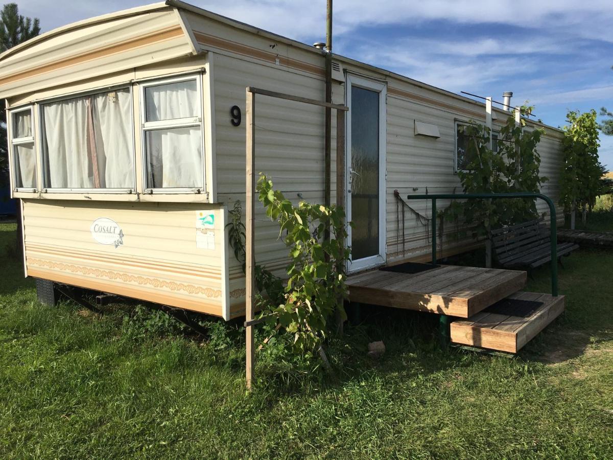 Vigio Brasta Camping Elektrenai Eksteriør bilde