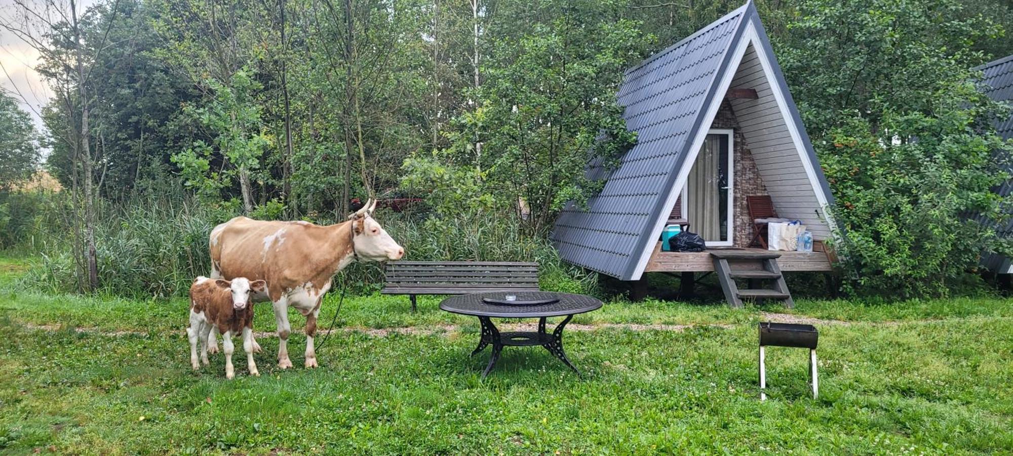 Vigio Brasta Camping Elektrenai Eksteriør bilde